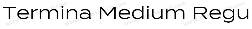 Termina Medium Regular字体转换